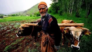 Aşık Mahzuni - Bu Senede Böyle Oldu