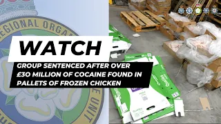 Group Sentenced After Over £30 million of Cocaine Found in Pallets of Frozen Chicken