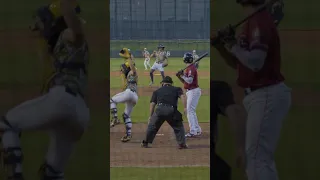 The Catcher Went Crazy for this In-Game Dance | Savannah Bananas #shorts #bananaball