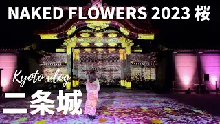 【京都観光】世界遺産 二条城の夜桜を満喫！｜NAKED FLOWERS 2023 桜 世界遺産・二条城 ｜ライトアップ｜そうだ、京都行こう｜京都旅行｜Nijo Castle【Kyoto Japan】