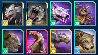 THE ALL MARSUPIAL LION TEAM vs NUBLAR SHORES 😅 (JURASSIC WORLD ALIVE)