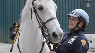 Zeus and the "10-Foot Cops"