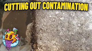 Can You Cut Contamination Out Of A Monotub?