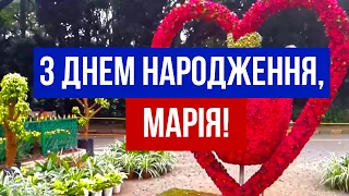 З Днем народження, Марія! Пісня та відеокліп