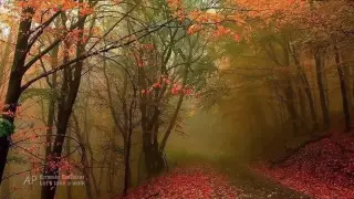 ERNESTO CORTAZAR - Let's Take A Walk(Romantic & Relaxing Piano Music)