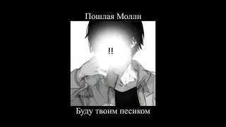 Пошлая Молли - Буду твоим песиком (slowed + reverb).mov || by @—акеми [мп3]