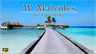 【Wモルディブ】水上ヴィラを歩いてみたー後編ー（Just walking around the villas on the ocean of W Maldives.~Part2~)