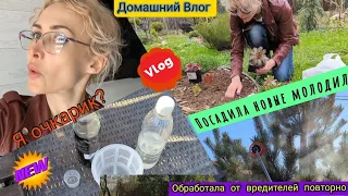 Домашний Влог. Помогла бабушке. Купила очки. Посадила новые молодило. Обработала сад от вредителей.