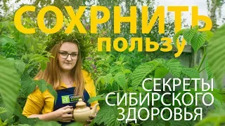 ПРОВЕРЕННЫЙ РЕЦЕПТ. Ферментация листьев смородины. Как сохранить 100 % витаминов?