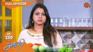 Aruvi - Ep 250 | 03 August 2022 | Tamil Serial | Sun TV