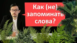 Как учить слова (не) легко?