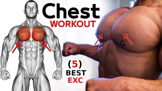 5 Best Chest Exercises YOU Should Be Doing