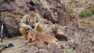 West Texas Aoudad Hunting with Adams (2023)