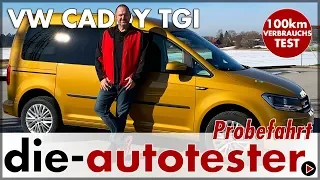 VW Caddy Trendline TGI BlueMotion 1.4 l 81 kW (110 PS) - 100 km Verbrauch Test Probefahrt Review