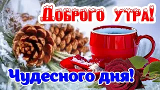 Доброе Утро! 🌺 Здоровья всем и Ангел оберегом! ❄️🕊 Красивые пожелания Доброго Утра!