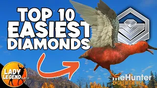 TOP 10 EASIEST DIAMONDS to Find in The Hunter Call of the Wild 2022!!!