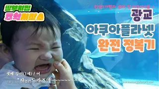 딸부자집 광교 아쿠아플라넷 방문기