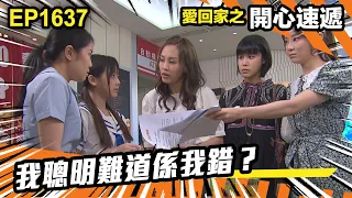 愛．回家之開心速遞 第1637集 | 我聰明難道係我錯？