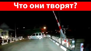 Естественный отбор на ЖД переезде