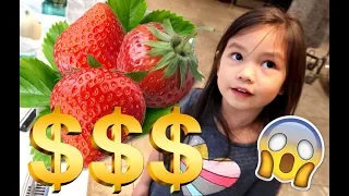 THE COST OF FRUIT IN JAPAN'S DEPARTMENT STORES! -  ItsJudysLife Vlogs