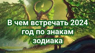 В чем и в каких цветах встречать Новый 2024 год по знакам Зодиака