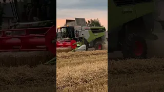 Žně 2022 Starojicko A S claas lexion 6600