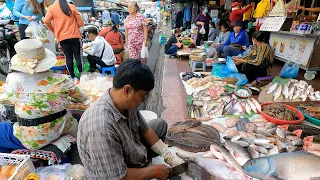 Morning Fish Market Scenes - Real Life, Fish, Vegetables, Meat, Pork & More |TourWithPapa