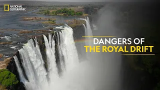 Dangers of the Royal Drift | Something Bit Me | Full Episode | S1-E5 | National Geographic