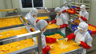 Healing! Drying Oranges and Marshmallows in Bulk  / Dry food mass production factory