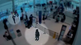 Dallas Love Field shooting video shows chaos as woman opened fire inside airport
