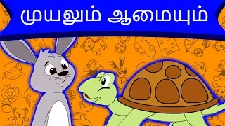 முயலும் ஆமையும் Hare and the Tortoise | Bedtime Stories for Kids | Tamil Fairy Tales | Tamil Stories