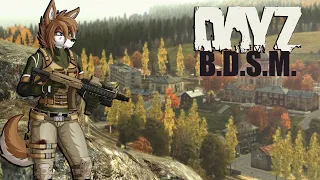 ЛИСЬЕЙ ПОСТУПЬЮ НА DAYZ B.D.S.M. new gen #dayz #dayzgameplay