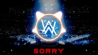 Alan Walker & ISÁK - Sorry (EXTENDED MIX)