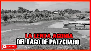 LA LENTA Y DOLOROSA MUERTE DEL LAGO DE PATZCUARO.