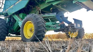 Lets Try Some Soybeans - Harvest #5