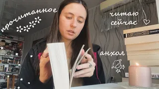 прочитанное 📖 читаю сейчас, книги в анхол 📚