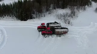 Centipede Concept - Transport in snow