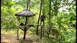 Building a house in the forest and living a daily life in the wild mountains and forests