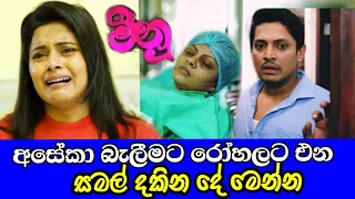 අසේකා ලෙඩින් බව සමල් දැනගනී |Meenu |Episode 33( 2022-08-04 ) | meenu today | HS101