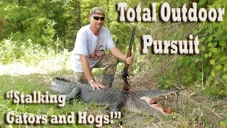 Alligator & Hog Hunting in Florida Everglades Swamps!