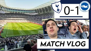 Brighton Rule North London! Tottenham 0 Brighton 1 [MATCH-DAY VLOG]