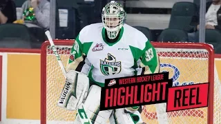 2017-18 HIGHLIGHT REEL | Ian Scott