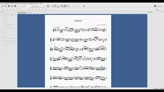 Paganini-Caprice 24 (Violin, Short)