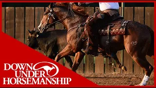 Clinton Anderson: Reined Cow Horses Introduction - Downunder Horsemanship