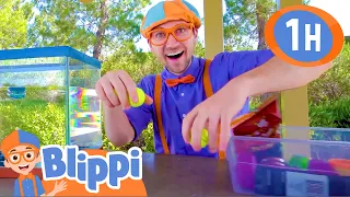 Sink or Float | 1 HOUR BEST OF BLIPPI | Full Episodes | Educational Videos for Kids | Blippi Toys