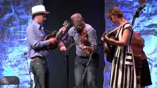 Sugar Hill - Foghorn Stringband at CBA Festival