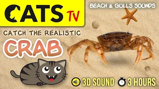 GAME FOR CATS -   3D crab on Beach 🦀🏝️ CAT TV (3 Hours)