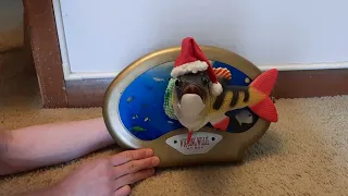 Christmas Wiggling Willie (better fixed)