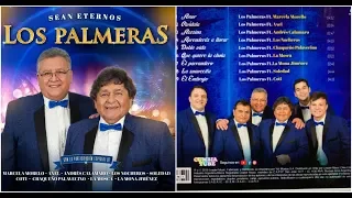 Los Palmeras Ft. Los Nocheros | Aprenderas a Llorar | 2019