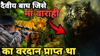 क्या मार पाएंगे Jim Corbett इस बाघ को जिसे मां का वरदान प्राप्त था । The Temple Tiger । Facts Phylum